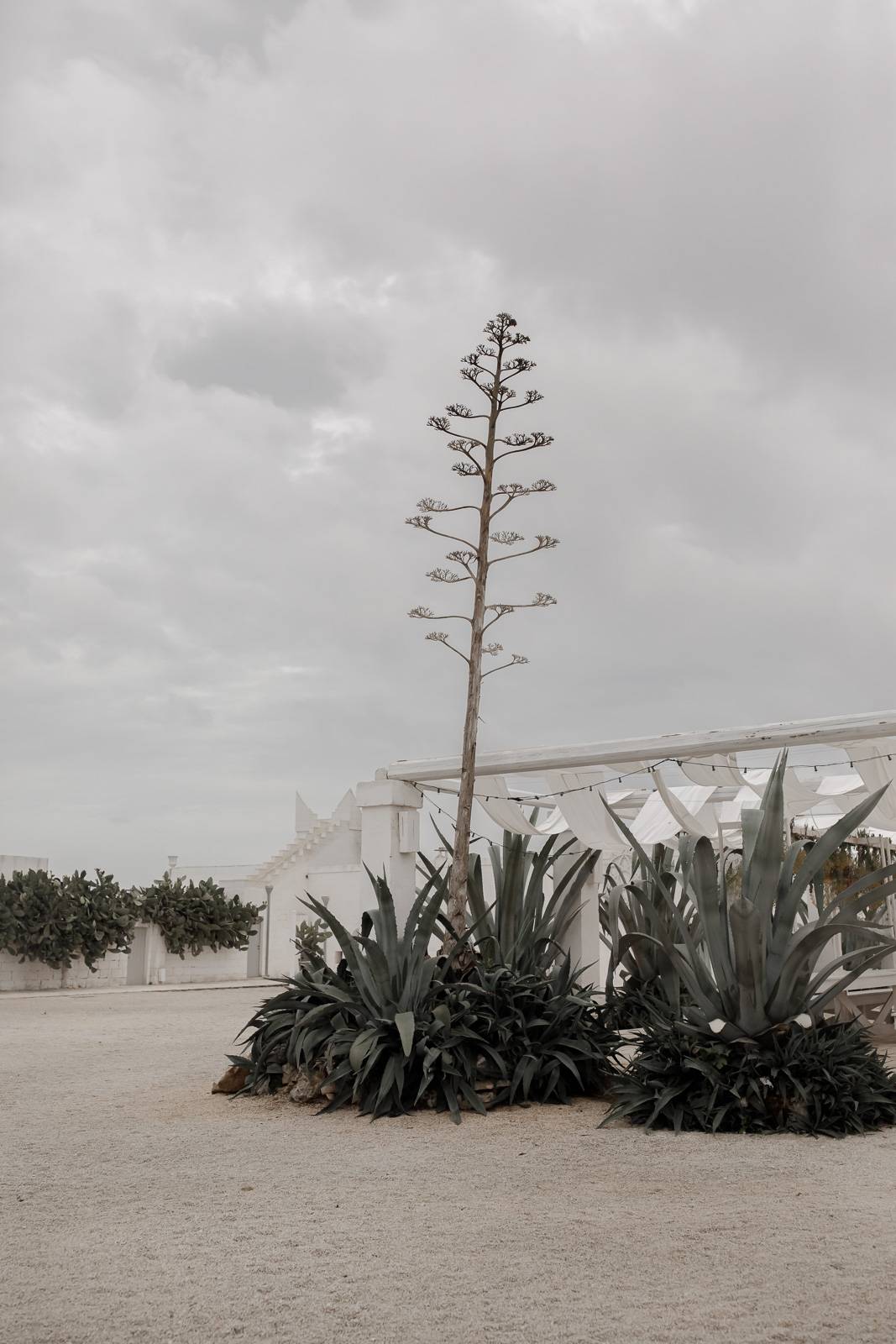 Rainy wedding in Puglia _ Rainy wedding in Puglia at Masseria Potenti