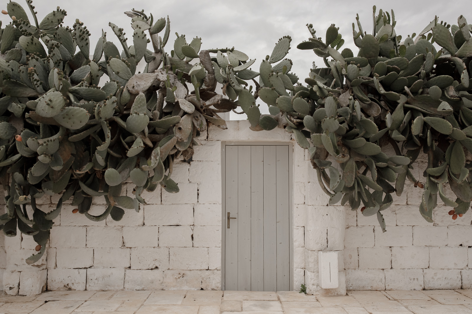 Rainy wedding in Puglia _ Rainy wedding in Puglia at Masseria Potenti