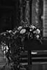 _ Wedding in Piazza Venezia - Rome