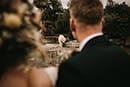 Hochzeit Hochzeitsfotograf  Zoo Hannover