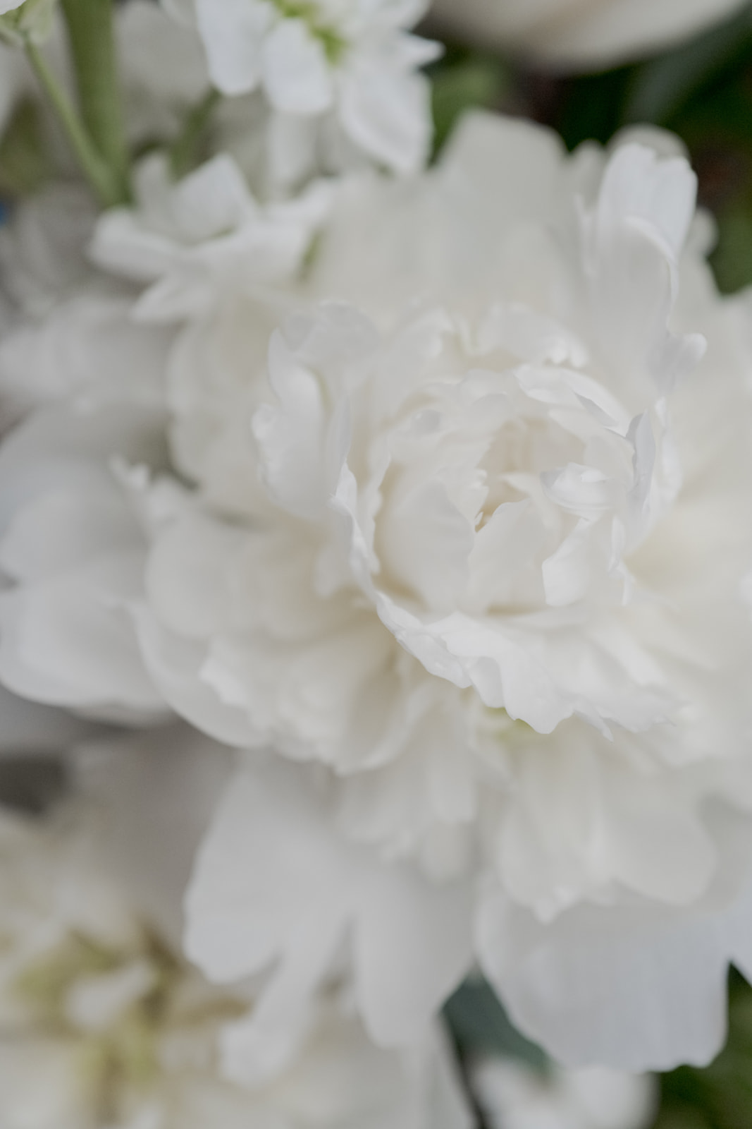 wedding in Porto Ercole _ Fun and Charm on Tuscan Riviera - Wedding in Porto Ercole