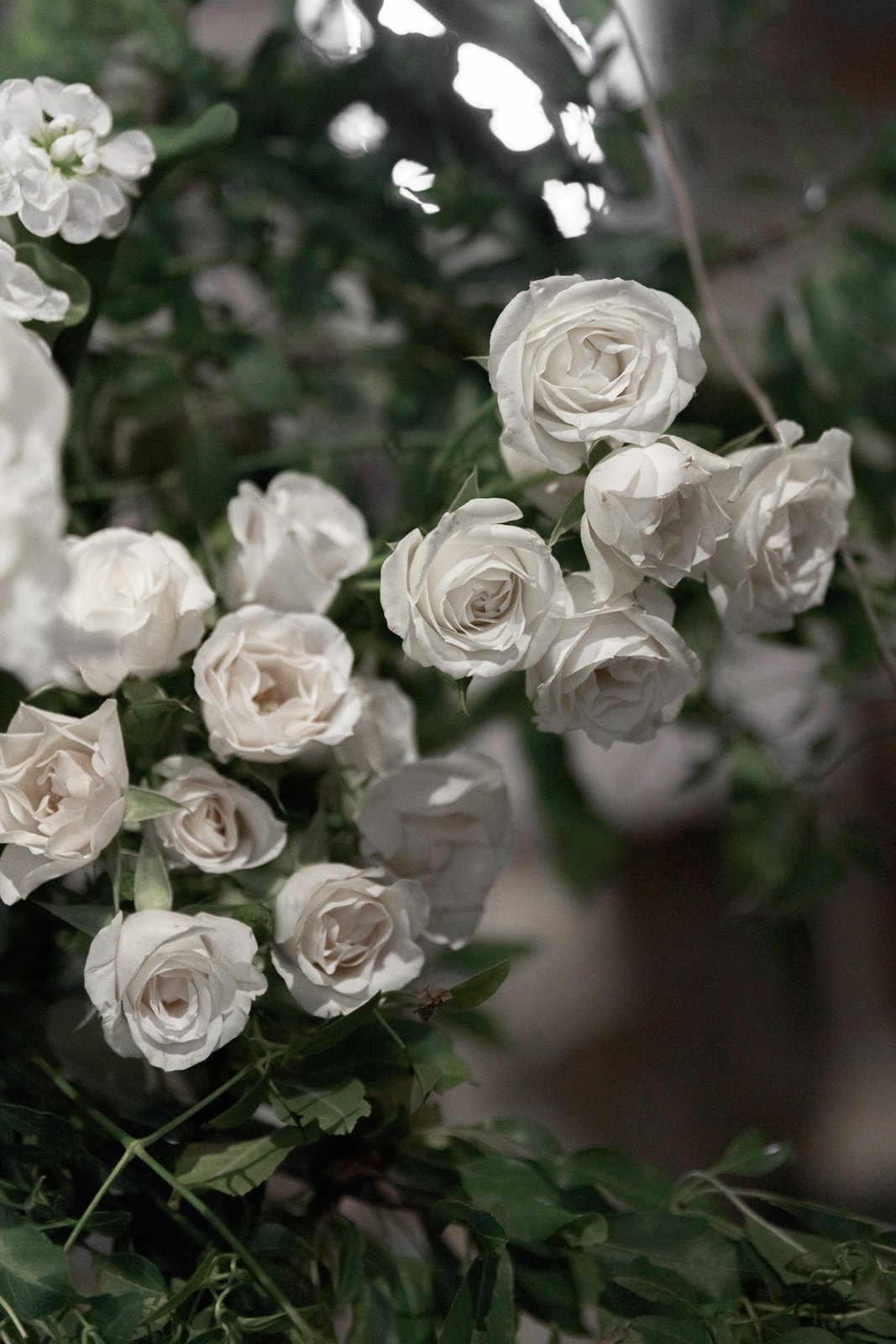 wedding in Porto Ercole _ Fun and Charm on Tuscan Riviera - Wedding in Porto Ercole