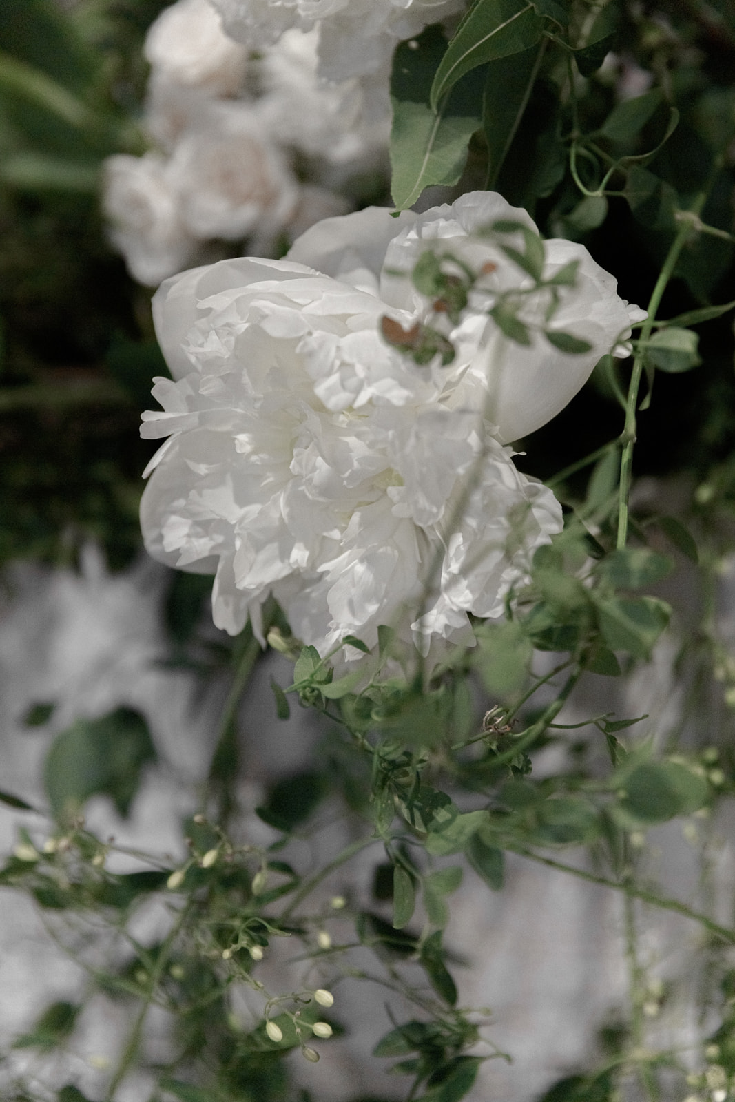 wedding in Porto Ercole _ Fun and Charm on Tuscan Riviera - Wedding in Porto Ercole
