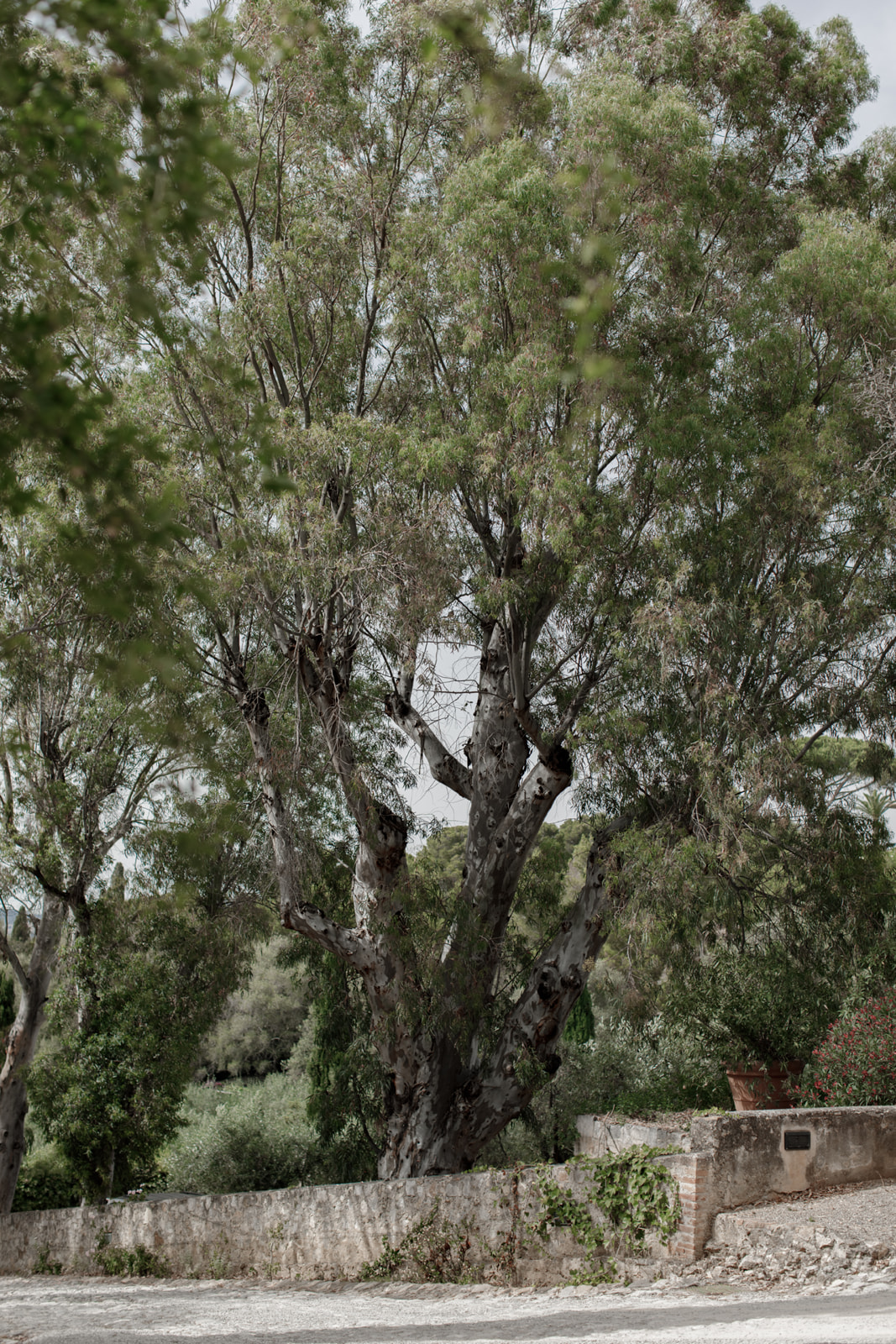 wedding in Porto Ercole _ Fun and Charm on Tuscan Riviera - Wedding in Porto Ercole