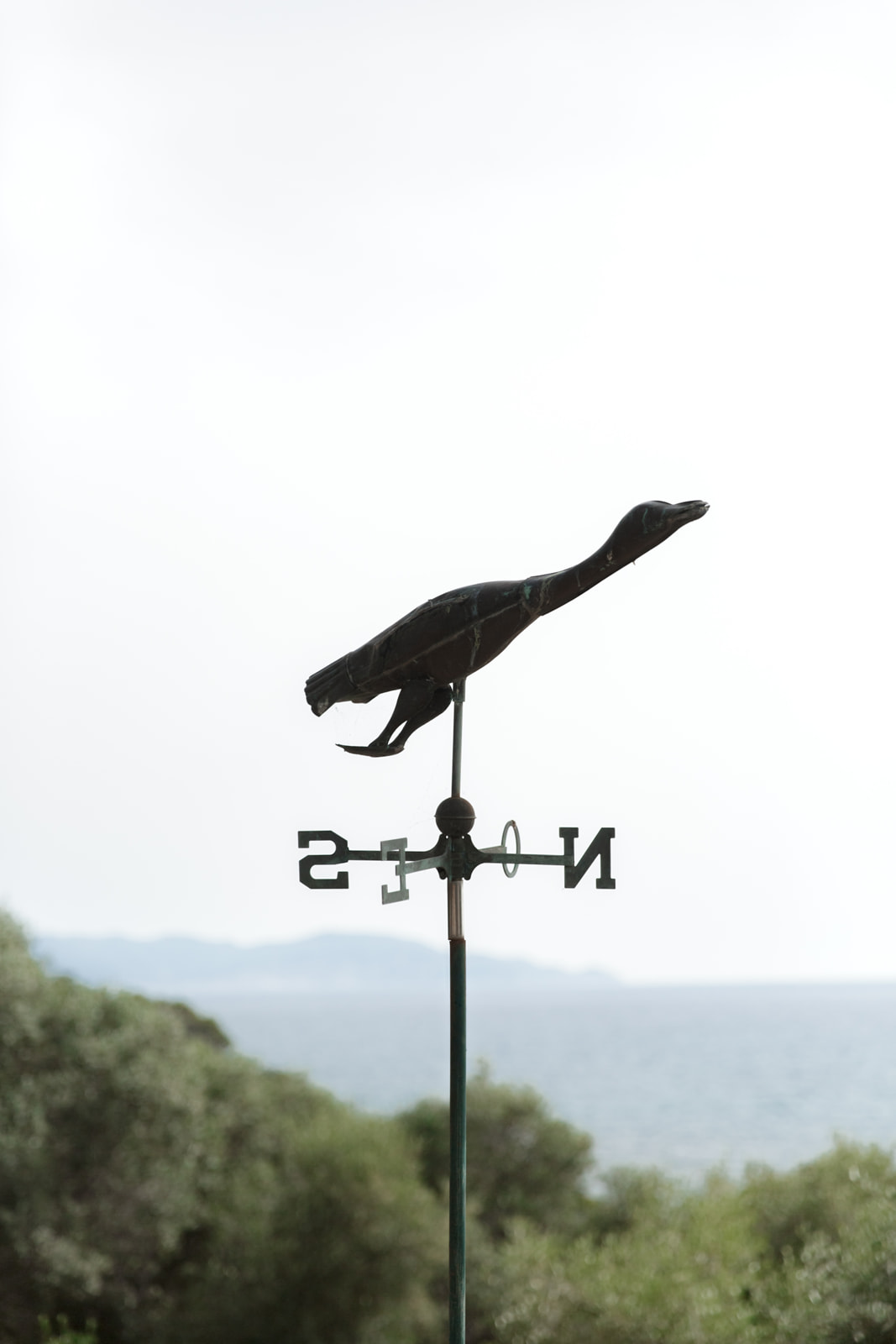 wedding in Porto Ercole _ Fun and Charm on Tuscan Riviera - Wedding in Porto Ercole