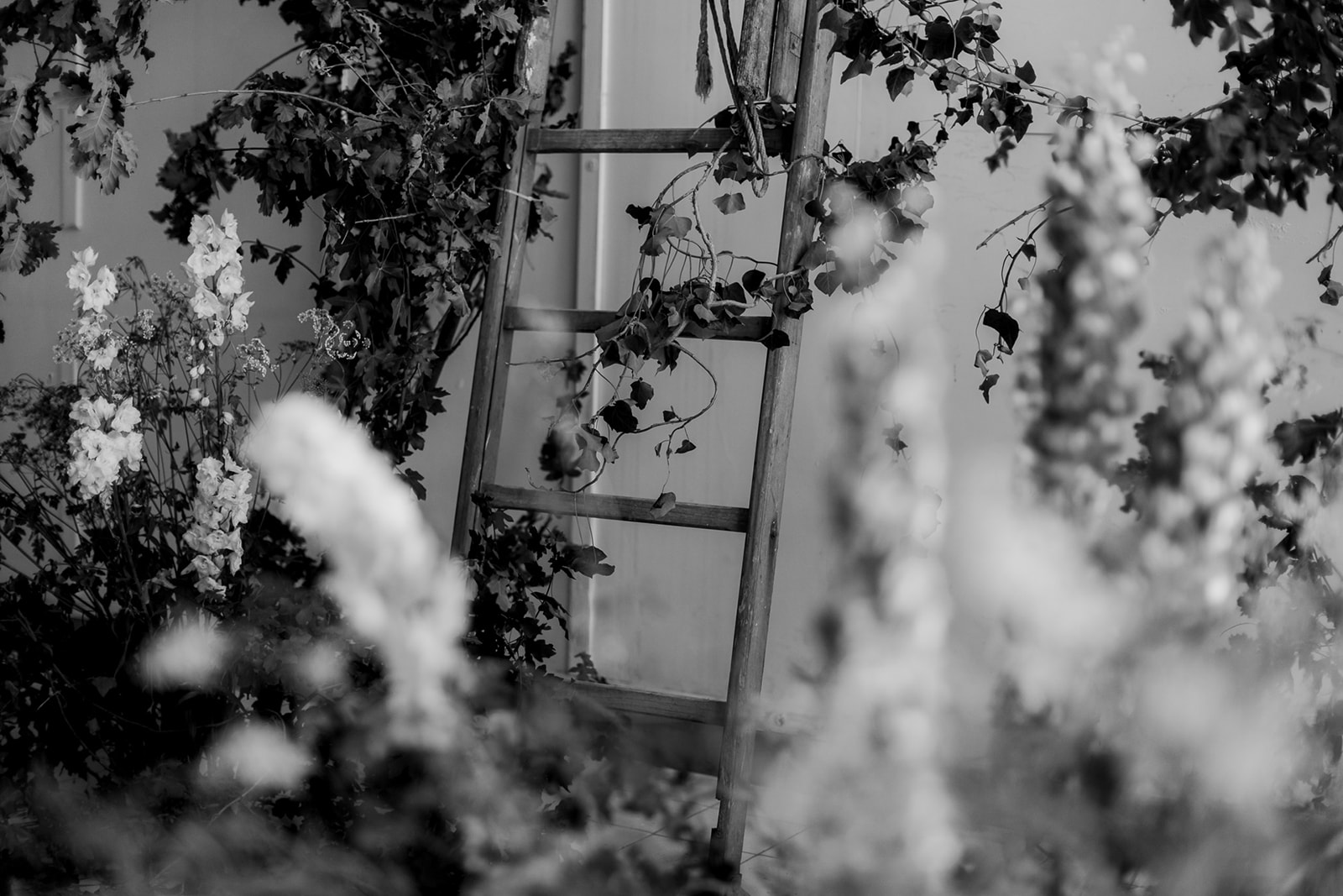 bridal inspiration _ Bianca - bridal inspiration