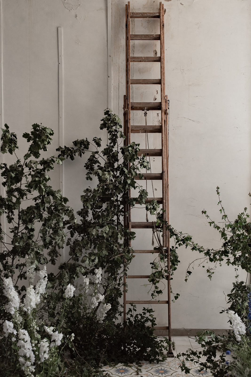 bridal inspiration _ Bianca - bridal inspiration