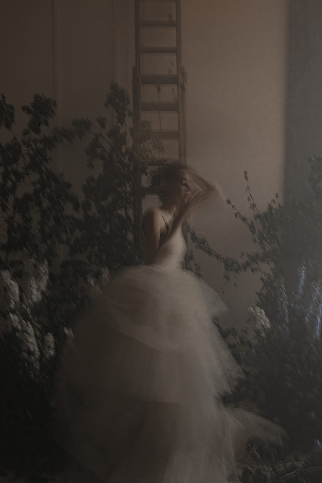bridal inspiration _ Bianca - bridal inspiration