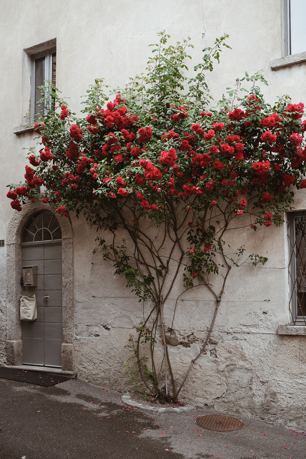 Dominus Maison Guesthouse Dominus concept store Tessin