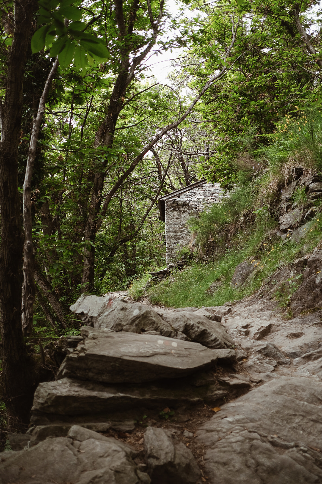 Curzutt Curzutt tessin