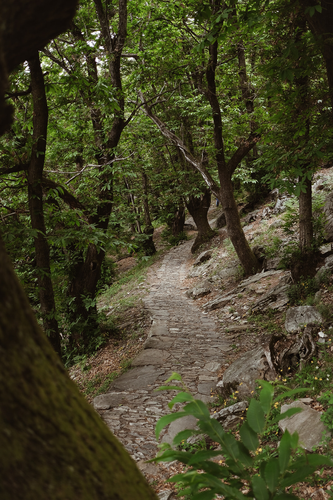 Curzutt Curzutt chemin randonnée