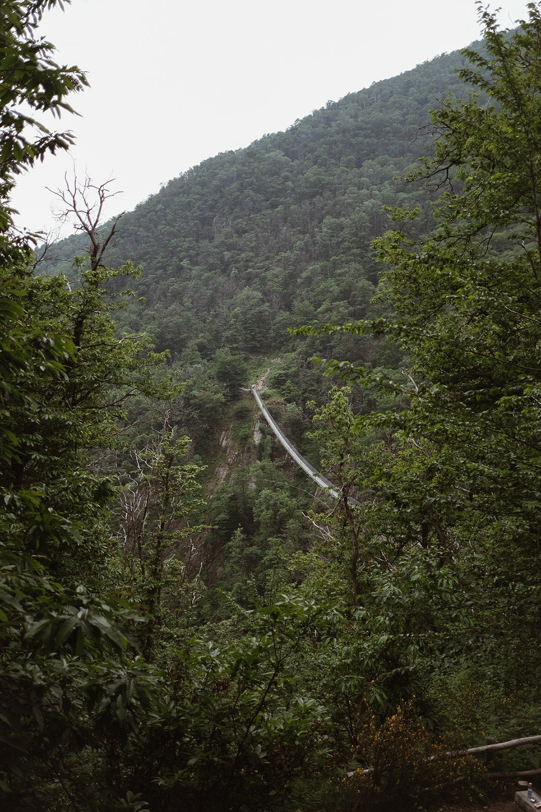Pont Tibétain Pont Tibétain Tessin