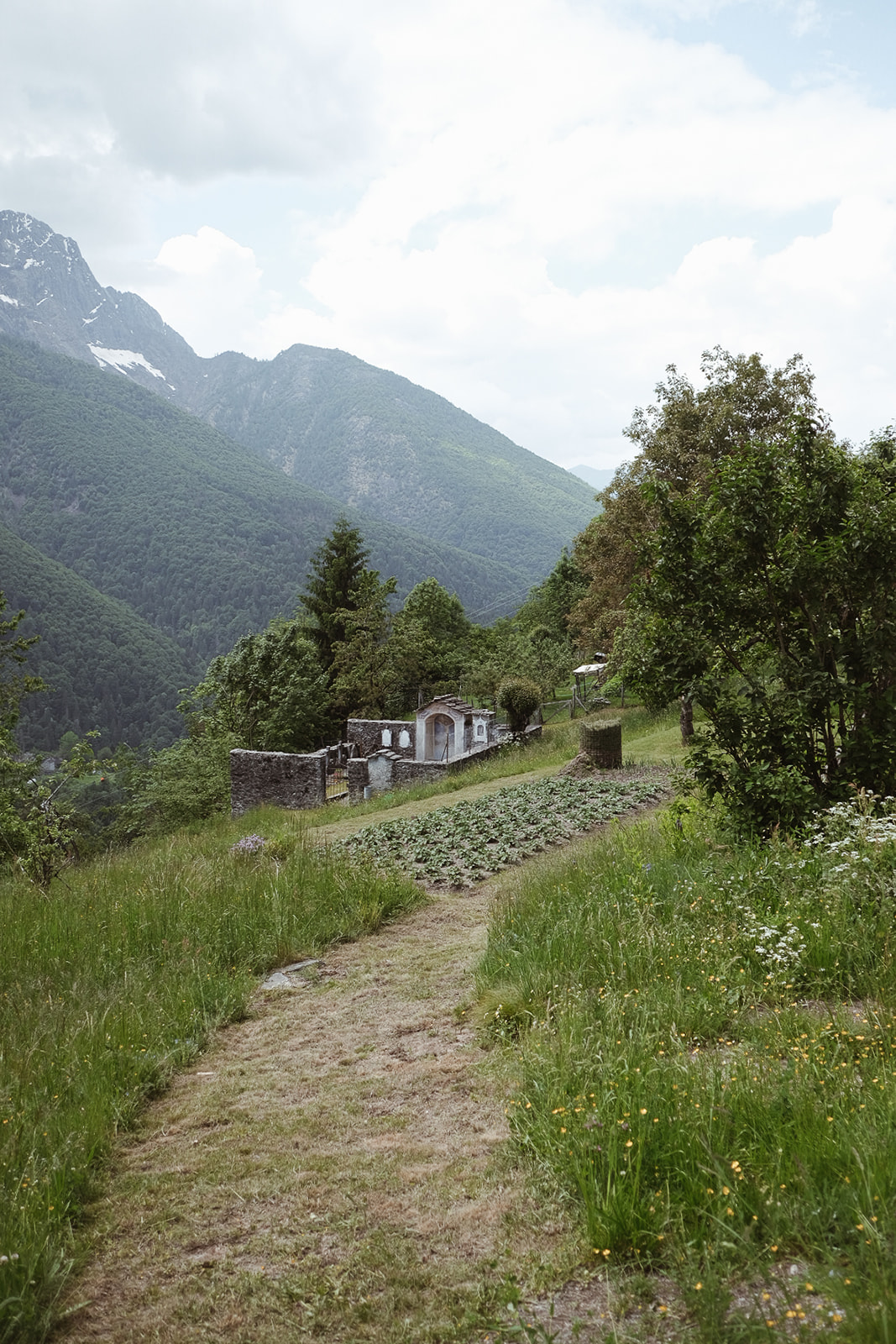 Rasa Rasa Tessin