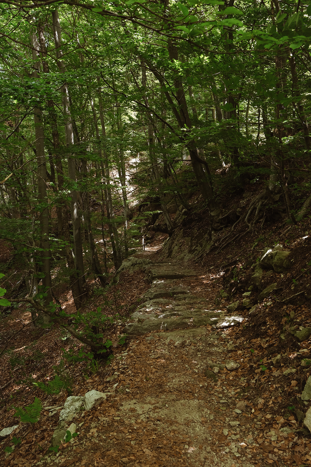 Rasa Chemin randonnée Rasa