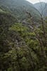 Curzutt vue panoramique 