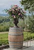 _ Wedding in La Villa Hotel Piedmont
