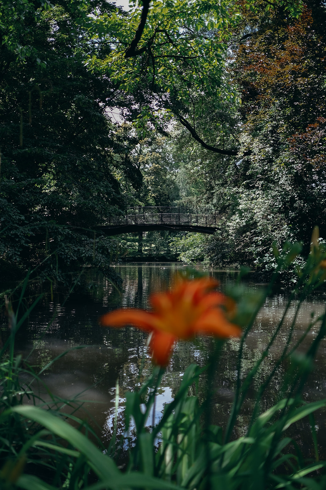 Strasbourg pont entre les arbres dans le parc de l'orangerie a Strasbour