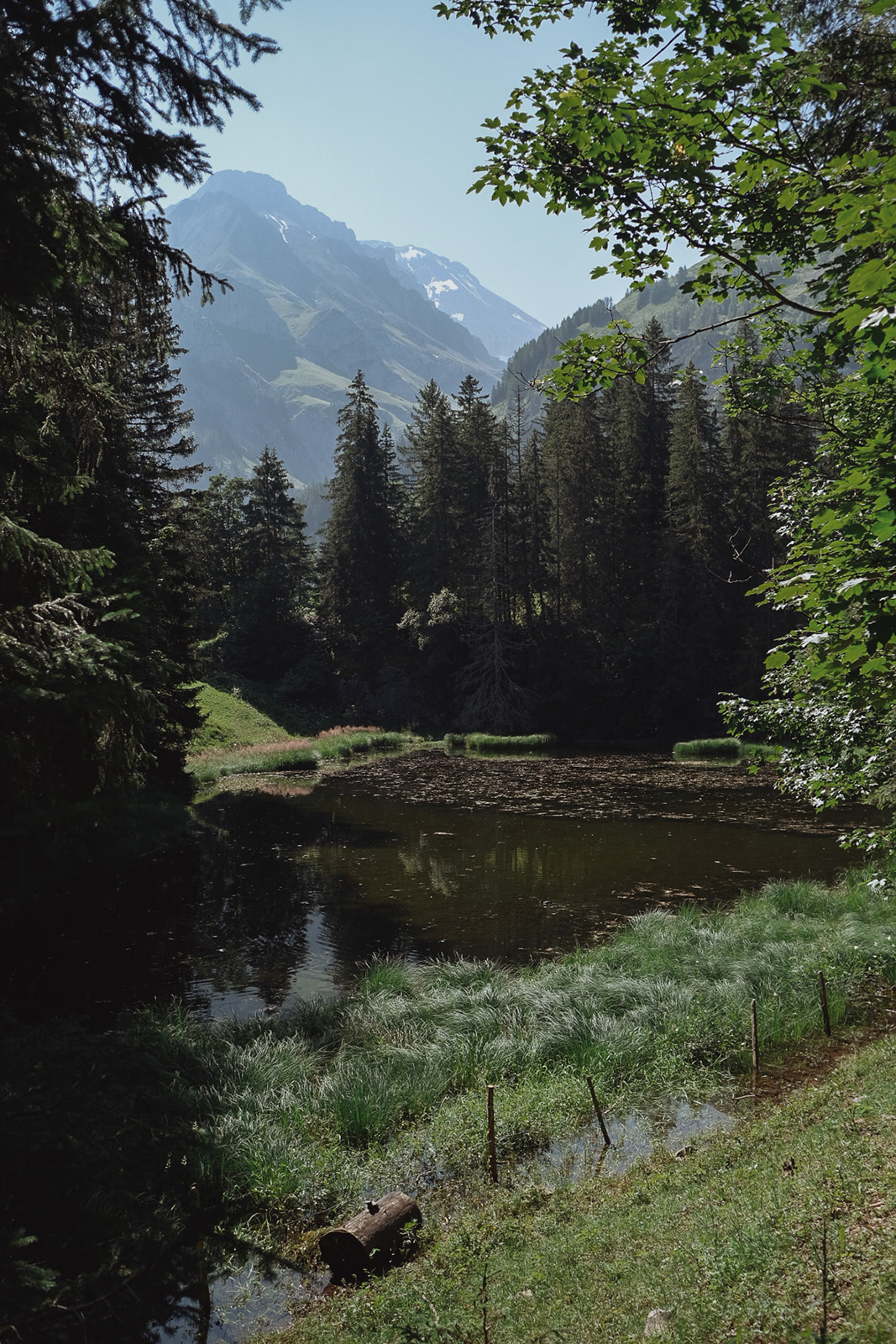 Lac de Lauenen etang-du-lac-de-lauenen
