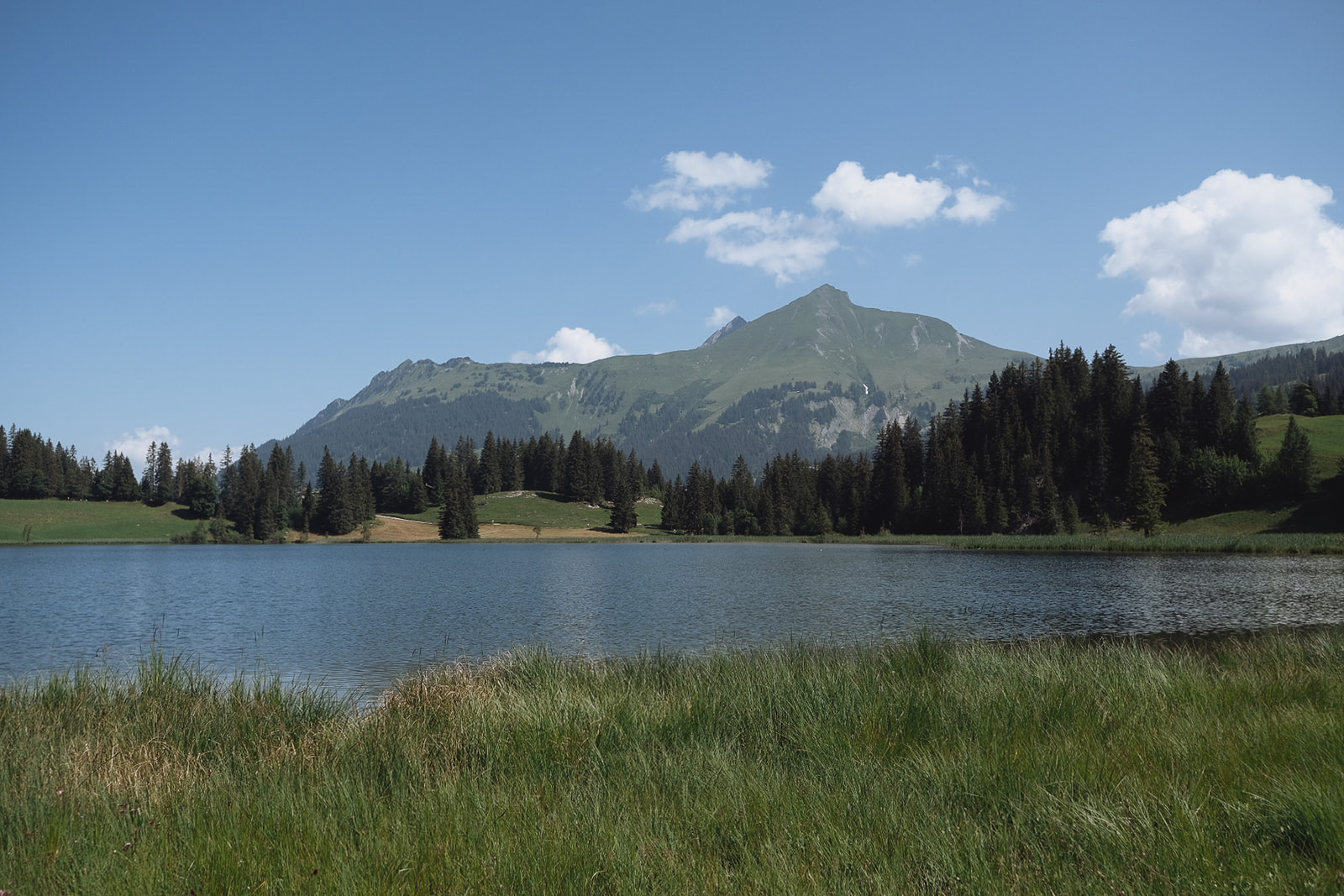 panaroma-du-lac-de-lauenen