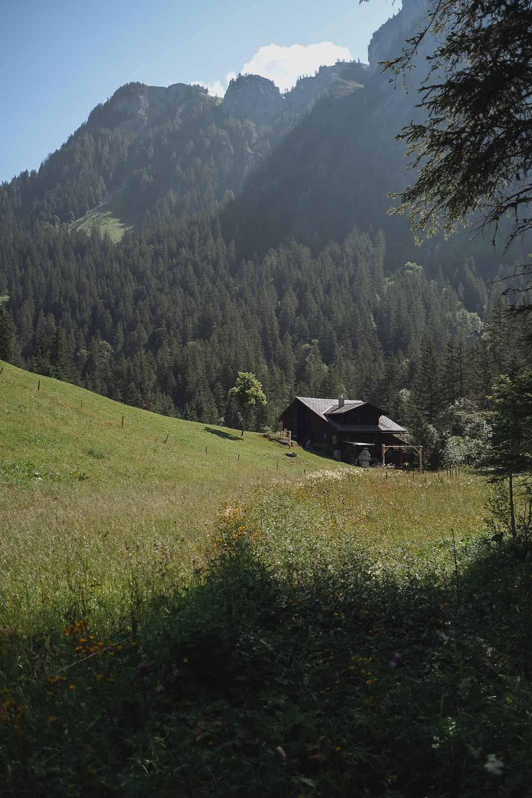 Lauenen paysage-vert-de-la-campagne-lauenen