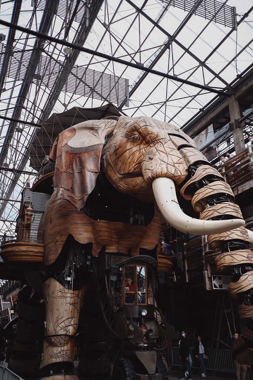 Machines de L'Île elephant-mecanique-geant