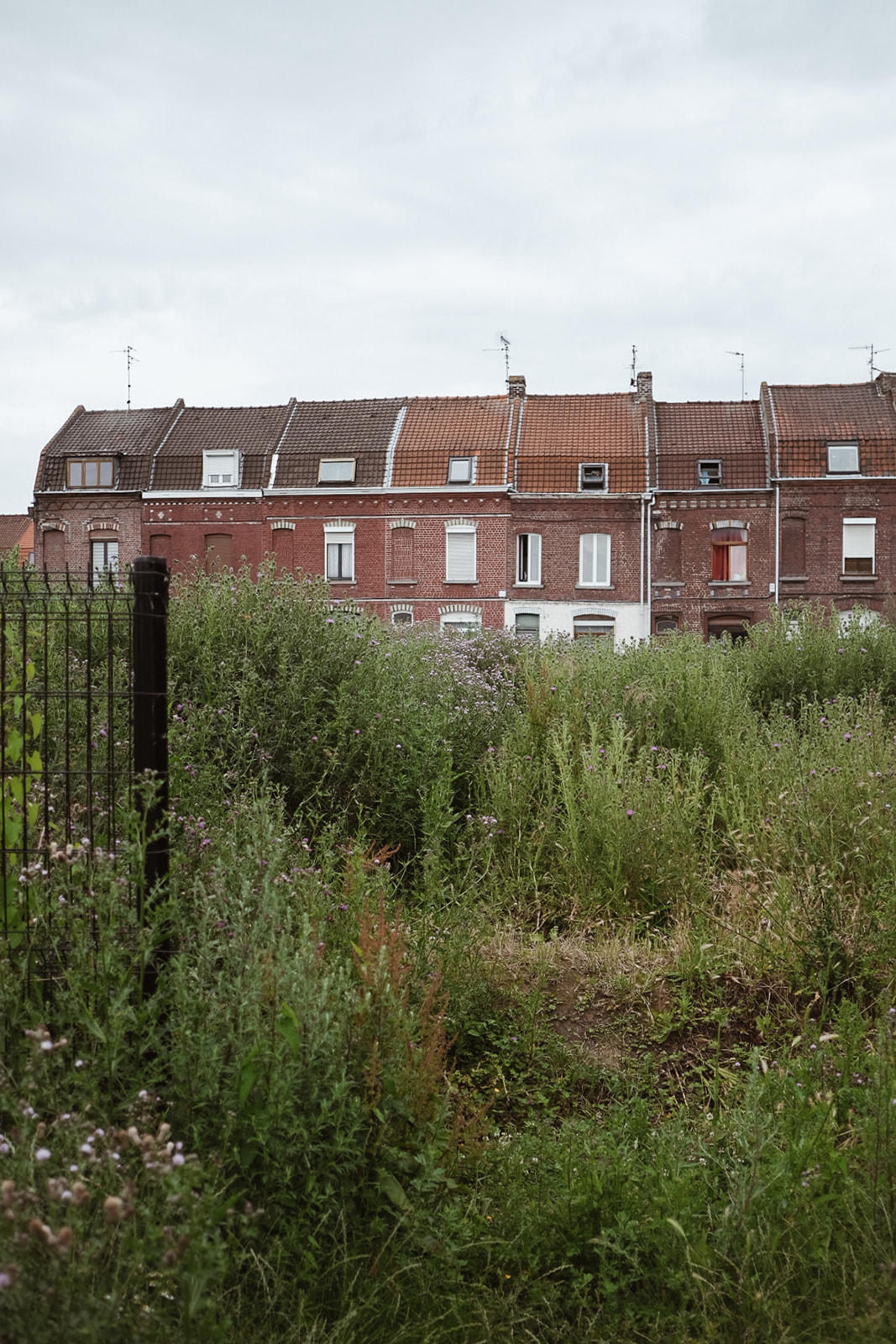 Roubaix Roubaix-maisons-brique