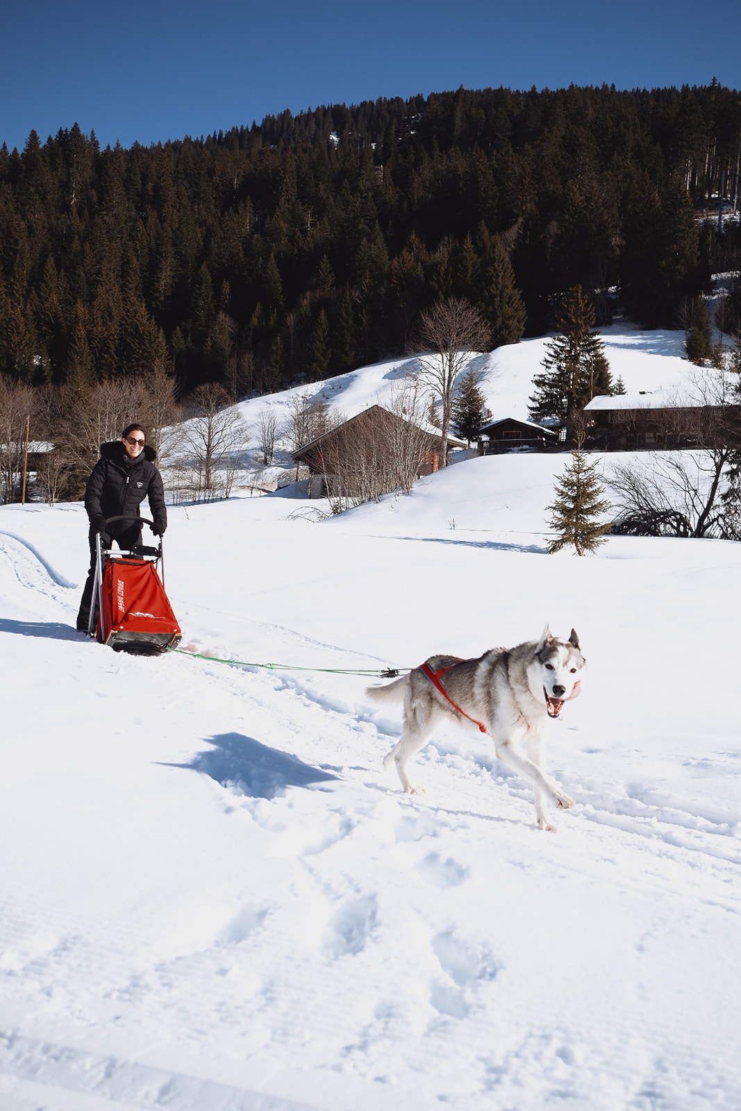 morgane-schaller-morgins-mushing-les-loups-du-val-de-they morgane-schaller-morgins-mushing-les-loups-du-val-de-they