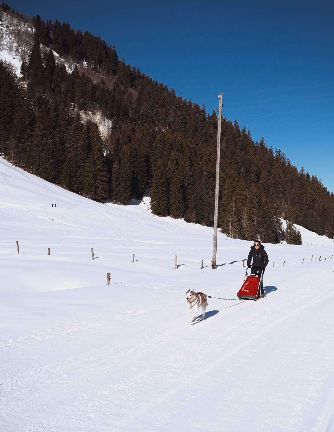 morgane-schaller-morgins-mushing-les-loups-du-val-de-they morgane-schaller-morgins-mushing-les-loups-du-val-de-they
